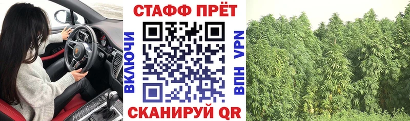 Названия наркотиков Шахунья Каннабис  Alpha-PVP  ГАШИШ  MDMA  Меф мяу мяу 