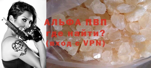 индика Магас