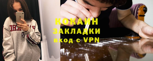 индика Магас