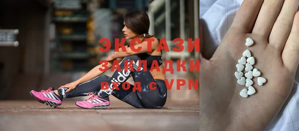 индика Магас