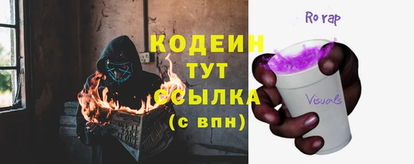 индика Магас