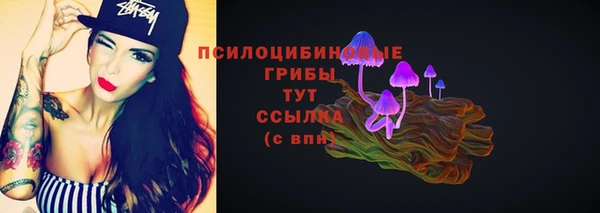 индика Магас
