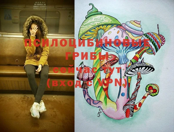 соль курить ск Магадан