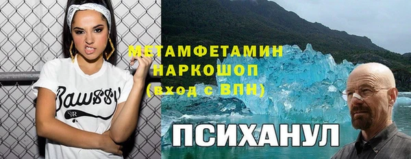 индика Магас