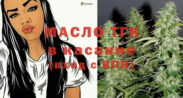 индика Магас