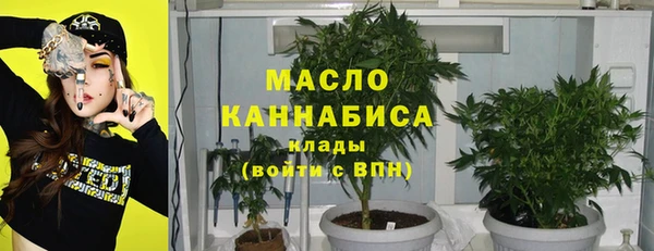 индика Магас