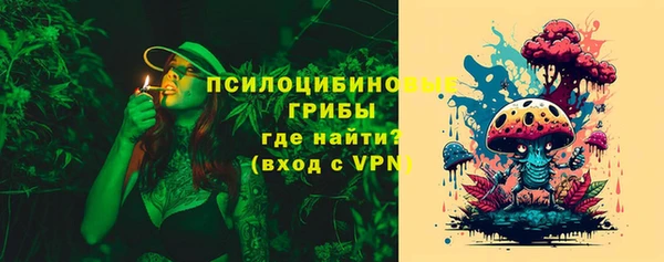 ПСИЛОЦИБИНОВЫЕ ГРИБЫ Слюдянка