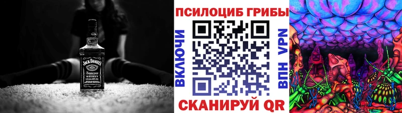 Галлюциногенные грибы Cubensis  Шахунья 